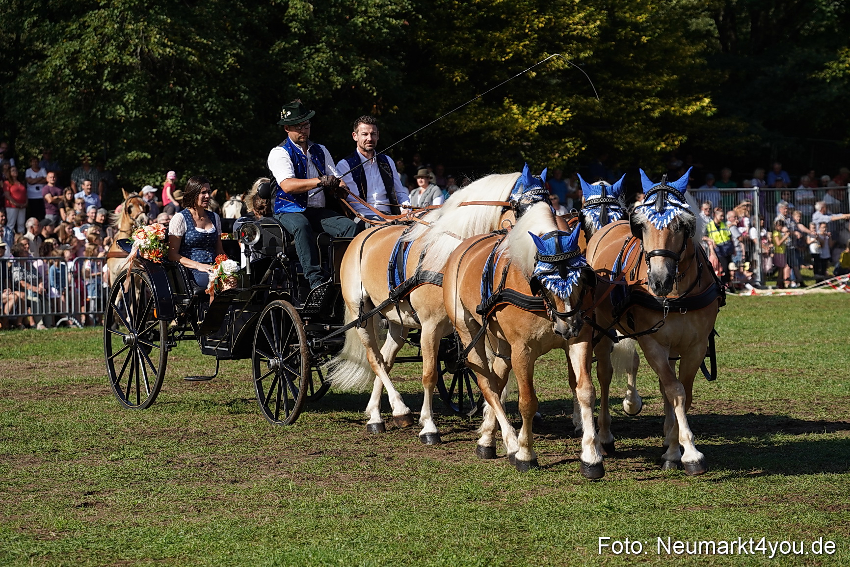 Pferde und Fohlenschau 2022 0126 